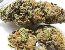 weed