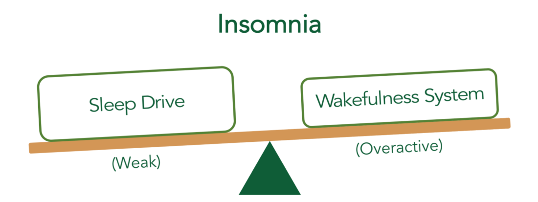 insomnia disorder icd 10